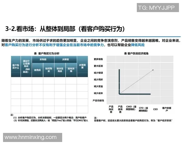电竞新闻深入分析WE与BLG赛后复盘中的团队协作与战略执行细节